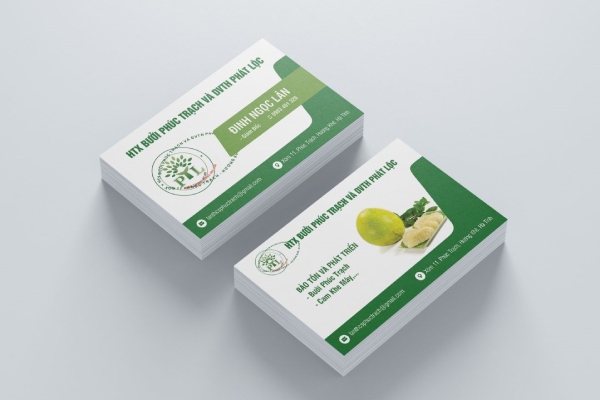 In Hoa Long nhận thiết kế và in mẫu card visit thực phẩm theo yêu cầu