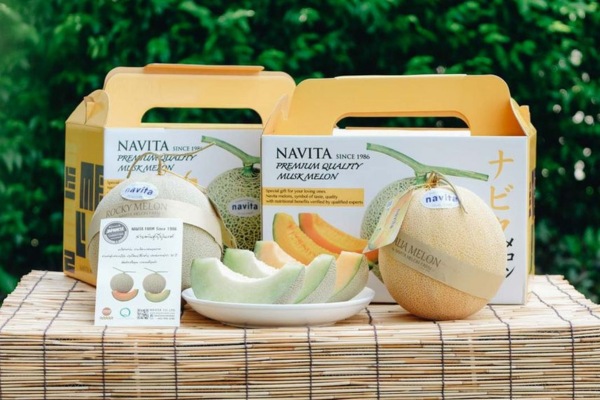 Mẫu hộp giấy đựng dưa lưới đẹp xây dựng thương hiệu