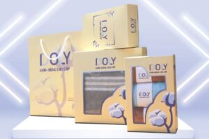 Mẫu hộp giấy đựng khăn tắm giá rẻ, thiết kế theo yêu cầu