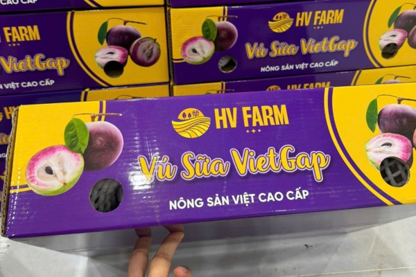 Mẫu in thùng carton đựng vú sữa đẹp, thiết kế giữ được hương vị trái cây