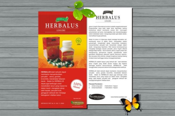 Mẫu tờ rơi 10x20 giá rẻ, chất lượng cao