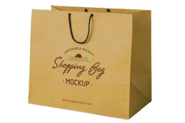 Mẫu túi giấy đựng túi xách đẹp, giá rẻ