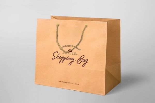 Mẫu túi giấy đựng túi xách đẹp, giá rẻ