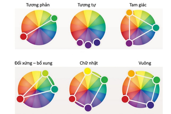 Bánh xe vòng tròn màu sắc