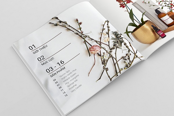 In Hoa Long nhận thiết kế và in ấn mẫu brochure mỹ phẩm theo yêu cầu