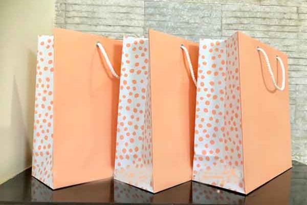 Mẫu túi giấy có quai đẹp, chuyên nghiệp