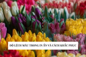 Độ lệch màu trong in ấn là gì – Nguyên nhân & Giải pháp