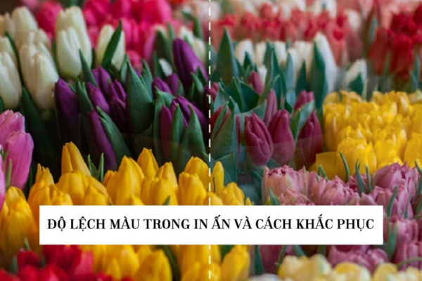 Độ lệch màu trong in ấn là gì – Nguyên nhân & Giải pháp