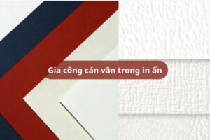 Gia công cán vân trong in ấn – Các mẫu vân phổ biến
