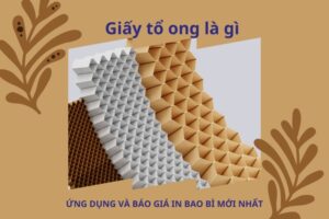Giấy tổ ong là gì? Ứng dụng và báo giá in bao bì mới nhất