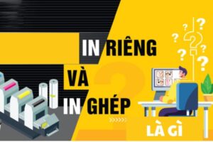 In riêng và in ghép là gì? Cách phân biệt nhanh