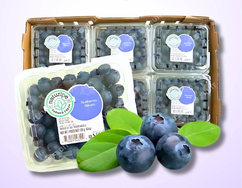 In tem dán việt quất hút mắt