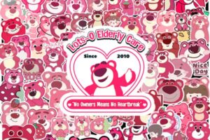 Mẫu sticker gấu dâu đẹp, chất lượng cao