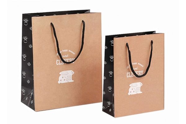 Mẫu túi giấy có quai đẹp, chuyên nghiệp