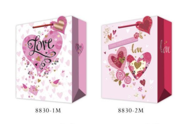 Mẫu túi đựng quà valentine theo yêu cầu tại Hà Nội