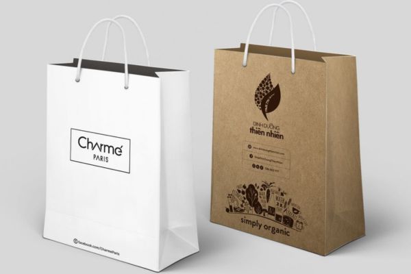 Mẫu túi giấy có quai đẹp, chuyên nghiệp