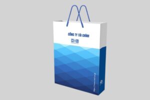 35+ Mẫu in túi giấy công ty tài chính sang trọng, chuyên nghiệp