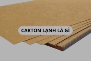 Carton lạnh là gì? Ứng dụng giấy carton lạnh trong bao bì cao cấp
