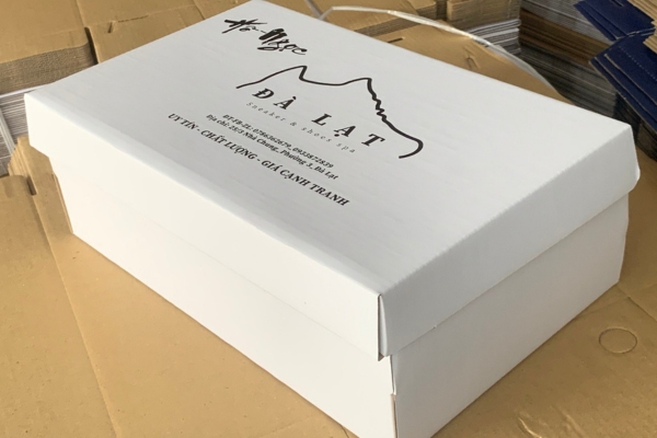 Mẫu logo giày dép in trên vỏ hộp giấy ivory