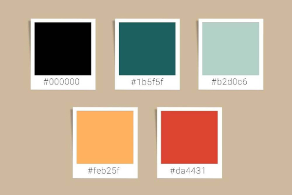 In Hoa Long tìm hiểu Mã bảng màu vintage