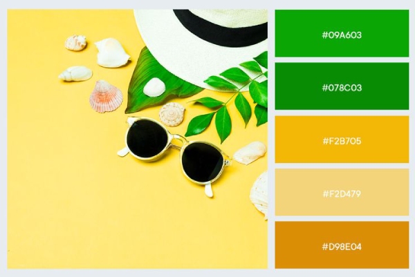 In Hoa Long tìm hiểu Ứng dụng của bảng màu vintage