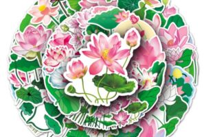 Bộ sticker hoa sen đẹp, giá rẻ, chất lượng cao