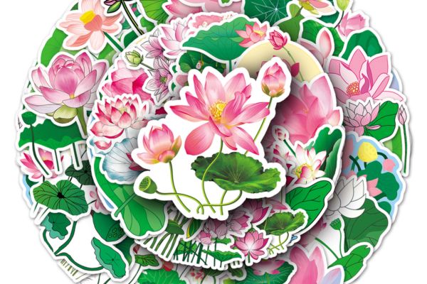 Bộ sticker hoa sen đẹp, giá rẻ, chất lượng cao