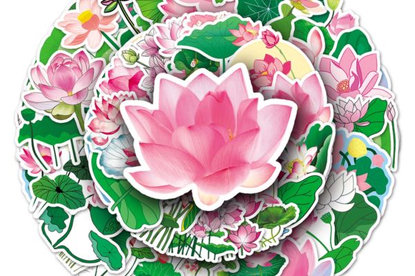 Bộ sticker hoa sen đẹp, giá rẻ, chất lượng cao