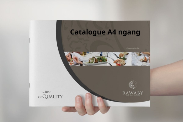 BST mẫu catalogue A4 ngang hiện đại, tối ưu nghệ thuật dàn trang