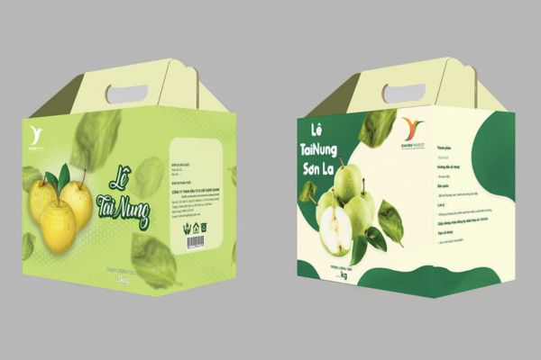 Mẫu hộp carton đựng ổi đẹp, thiết kế theo yêu cầu