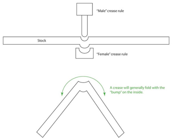 In Hoa Long tìm hiểu cách tạo đường cấn trên mặt giấy