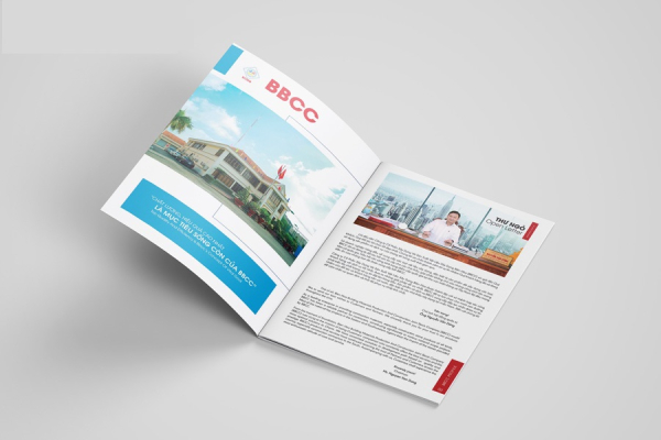 In Hoa Long nhận thiết kế và in ấn hồ sơ năng lực song ngữ giá rẻ