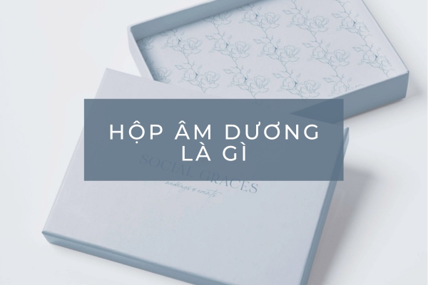 Hộp âm dương là gì? Đặc điểm và ứng dụng phổ biến