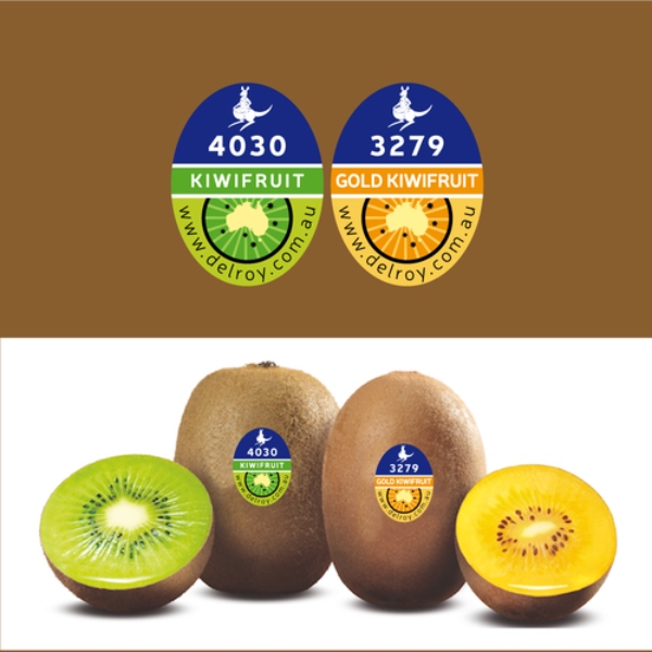 In Hoa Long nhận In tem nhãn kiwi theo yêu cầu