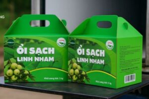 Mẫu hộp carton đựng ổi đẹp, thiết kế theo yêu cầu