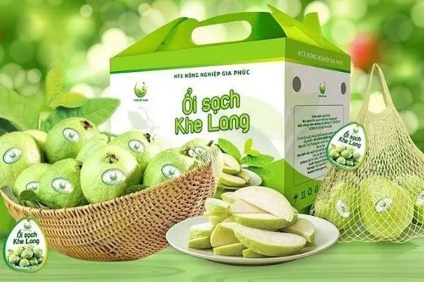 Mẫu hộp carton đựng ổi đẹp, thiết kế theo yêu cầu