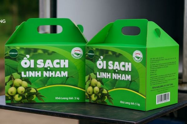 Mẫu hộp carton đựng ổi đẹp, thiết kế theo yêu cầu