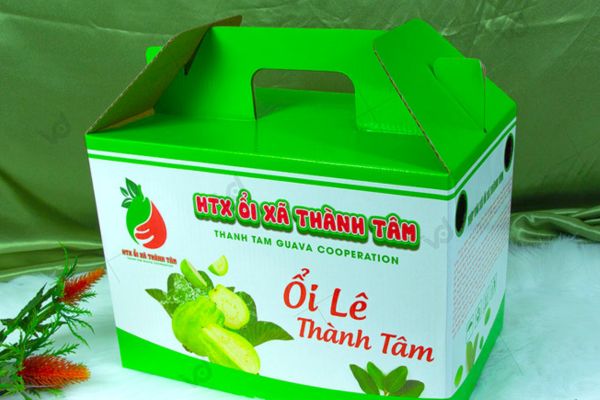 Mẫu hộp carton đựng ổi đẹp, thiết kế theo yêu cầu