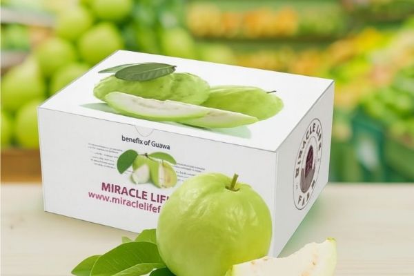 Mẫu hộp carton đựng ổi đẹp, thiết kế theo yêu cầu