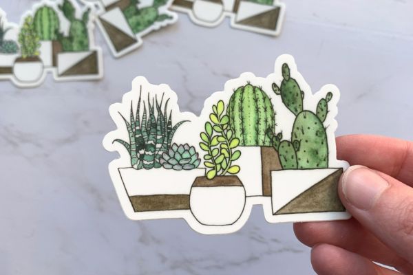 Mẫu sticker xương rồng đẹp, thiết kế theo yêu cầu
