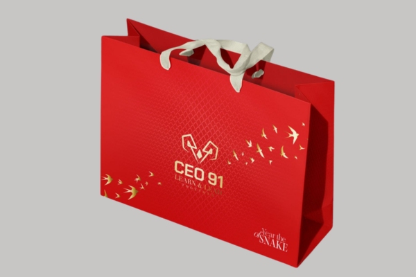 Mẫu in túi giấy công ty tài chính cao cấp
