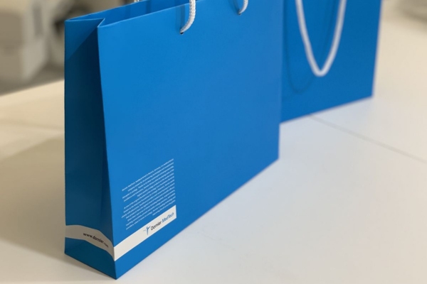 Mẫu in túi giấy công ty tài chính chất liệu ivory