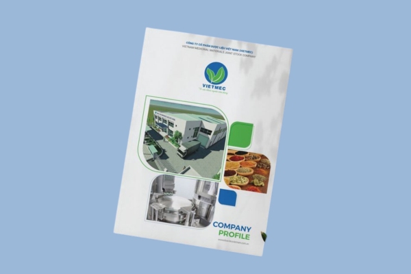 Mẫu profile công ty đẹp mắt