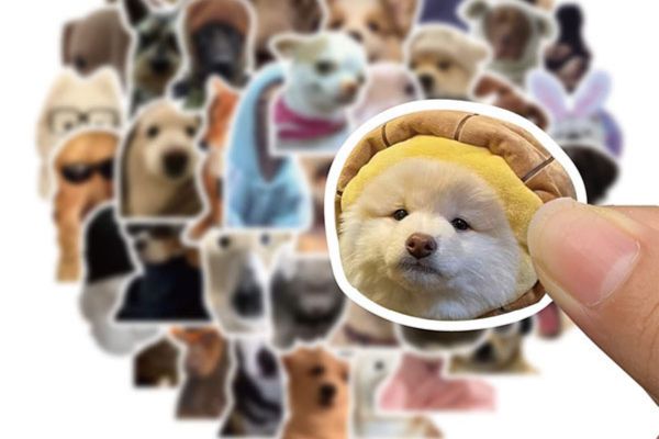 Mẫu sticker con chó đẹp, chất lượng cao