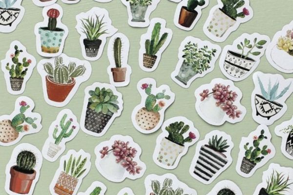 Mẫu sticker xương rồng đẹp, thiết kế theo yêu cầu