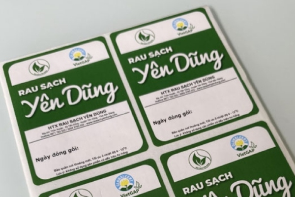 In Hoa Long nhận thiết kế và in ấn mẫu tem nhãn rau củ đẹp