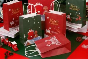 In Hoa Long nhận thiết kế và in ấn mẫu túi giấy đỏ cao cấp