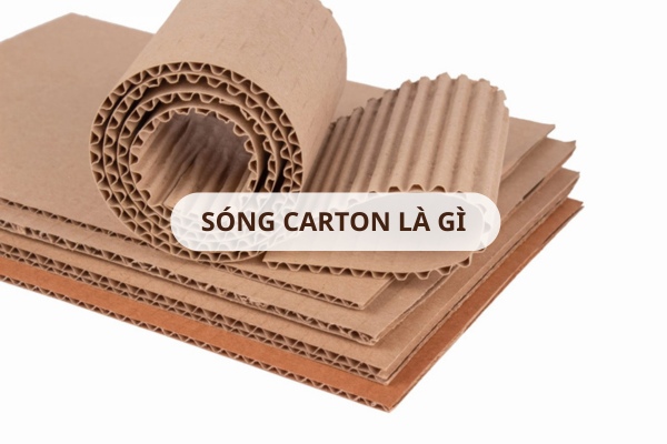 Sóng carton là gì? Phân loại và ứng dụng