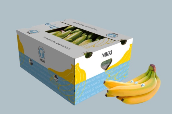 Ứng dụng sóng carton là gì