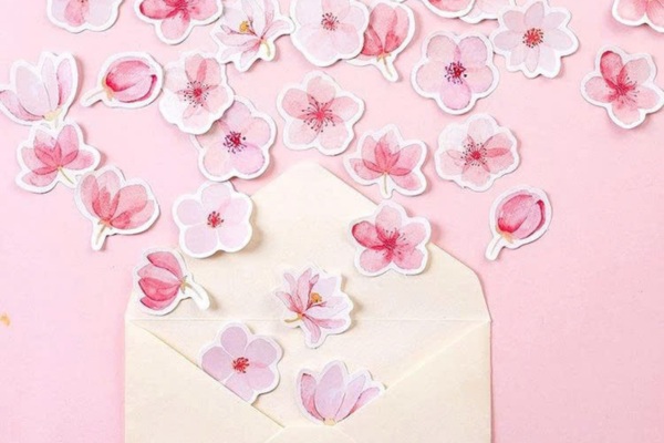 Bộ sticker hoa anh đào dịu dàng